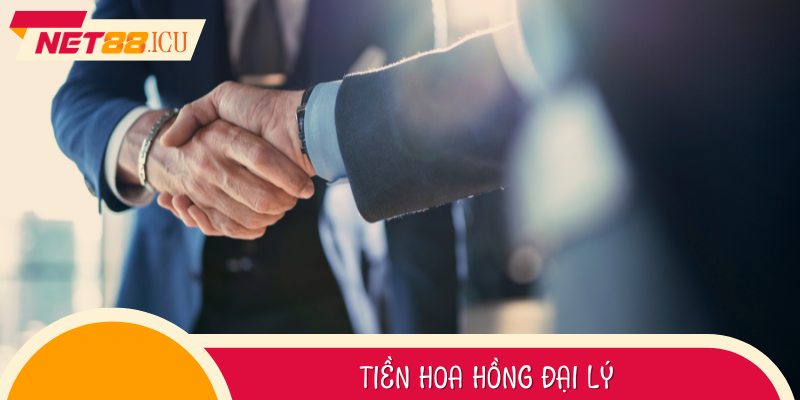 Hoa hồng cao – yêu cầu rõ ràng – rút tiền dễ dàng