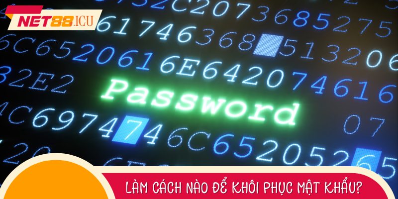 Liên hệ bộ phận CSKH để được hỗ trợ lấy lại mật khẩu kịp thời.